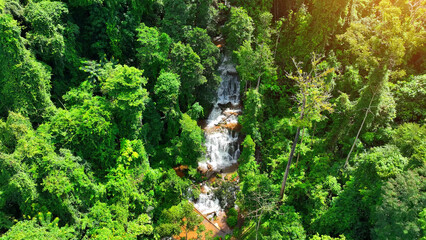 Experience pure tranquility deep in a tropical rainforest. Enveloped by serene greenery, a pristine waterfall gently descends in layered harmony over mossy rocks. Tropical eden: Nature's Hidden Gem.
