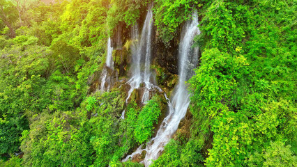 Behold a trio of mesmerizing waterfalls, veiled within a dense tropical rainforest. A drone's perspective unveils a verdant paradise, a nature-lover's dream. Tropical green haven. 
