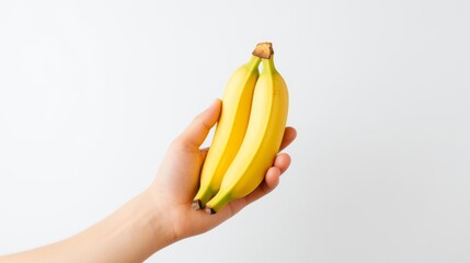 a hand holding two ripe yellow bananas against a white background