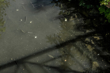 wasseroberfläche wasser see meer