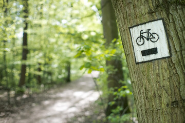 Jazda rowerem, wypoczynek w leśnym krajobrazie. - obrazy, fototapety, plakaty