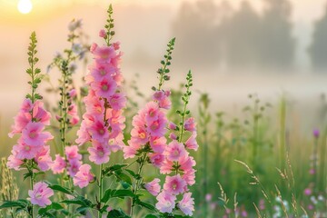 Wild Nature Flowers at Dawn: Serene Pink Beauty in Vibrant Rural Solitude