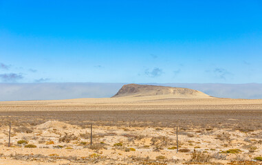 Arid landscape in the Namaqualand region of South Africa