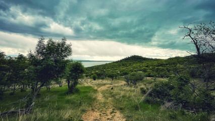 Forests and hiking trails of Tihany, Balaton, Hungary