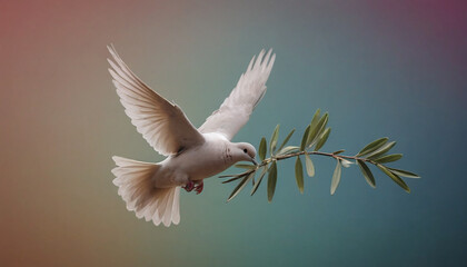 Obraz premium Dove with Olive Branch