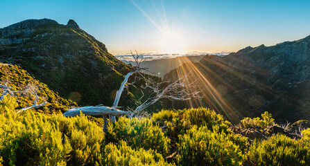 Hiking on the highest peak of Madeira Pico Ruivo next to the cottage Abrigo do Pico Ruivo. Views of...