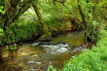 Obraz premium Vilasantar Town Hall and Batan mill