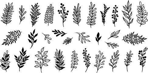 Vector leaf set, hand drawn leaves, plant doodles isolated collection © Kati Moth