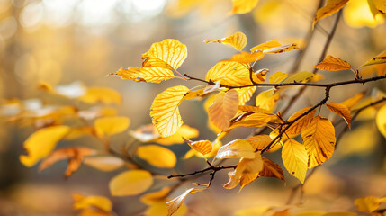Bush with yellow leaves in autumn forest closeup - Powered by Adobe