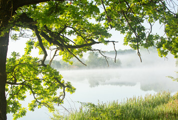 Very beautiful landscape with fog and green nature in the Republic of Moldova. Rural nature in Eastern Europe