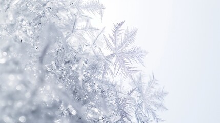 A macro shot of frost on glass, the intricate crystalline patterns forming a natural abstract artwork.