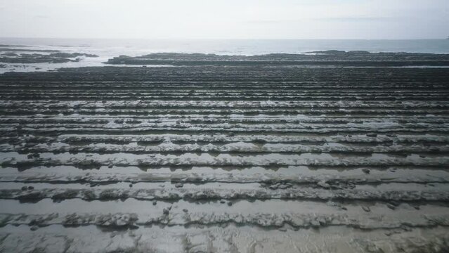 240422_miyazaki_0272