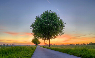 This image captures a peaceful rural path at sunrise, with the sky painted in vibrant shades of...