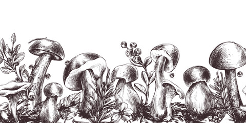 Edible forest mushrooms, boletus, chanterelles with blueberries and lingonberries, leaves, fir and cones. Graphic illustration, hand drawn with brown ink, line art. Seamless border, pattern