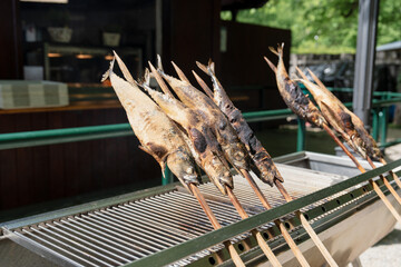 Frisch gegrillte Fische Steckerlfisch auf Holzspießen: Traditionelles Grillen im Freien
