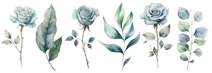 Set watercolor blue roses floral roses branches. Wedding concept isolated on white background
