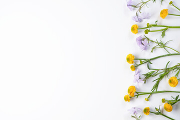 Meadow flowers with field buttercups and purple flowers isolated on white background. Top view with copy space. Flat lay.