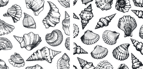 Hand drawn sea shells black seamless pattern