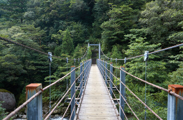 Bridge over river in rainforest Yakushima Island Japan 