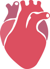 Illustration of human heart organ with aorta and arteries. flat vector color icon for medical health. anatomy. vector illustration for doctors, medical students and nurses.