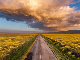 Rural road, majestic clouds and yellow spring flowers during the spring superbloom. Carrizo...
