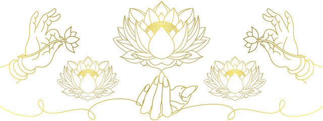 lotus flower and hand vector line art style eps 2