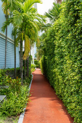 Red path in the garden in hot sunny weather between trees and bushes at a tropical resort.