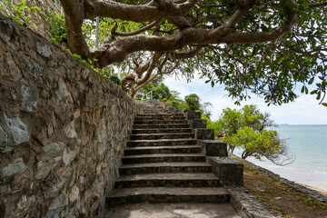 A staircase with stone steps going up along a stone wall in the shade of a branchy tropical tree.