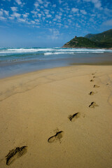footprints on the beach, Porto Ferro, Alghero, Sassari, Sardinia. Italy