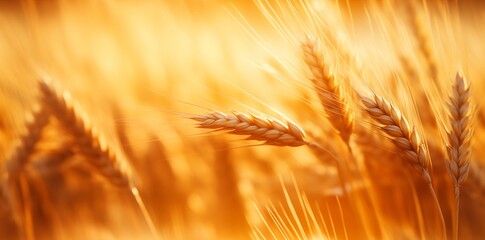 Rustic golden wheat field with sunset light background. Seamless pattern. AI generated