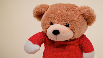 Obraz premium teddy bear with red sweater