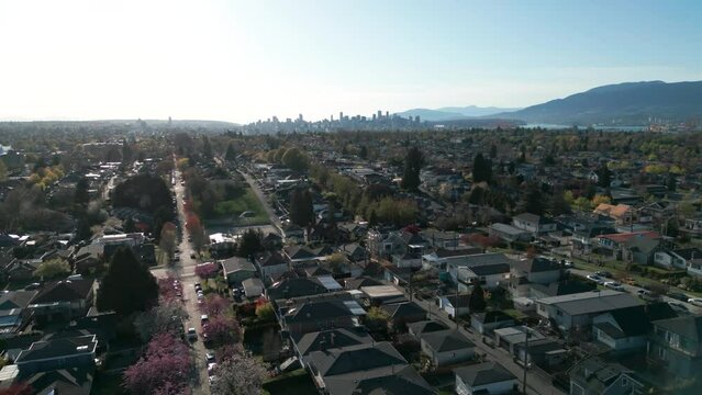 drone shot going backward revealing vancouver neighborhood near burnaby residential area with vancouvr city in the background and cherry blossom in the foreground, british columbia, canada