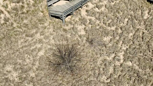 Aerial drone track of dunes, paths, and plants.