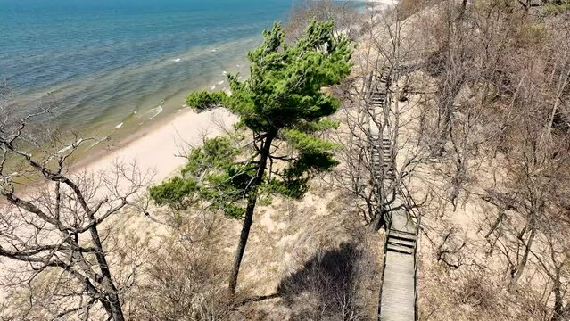 Winds blowing through an old white pine on the coast.