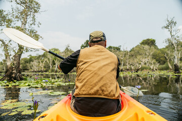 Holiday travel activities. Happy asian man rowing a canoe or kayak in mangrove forests. Young...
