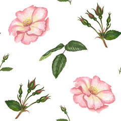 Watercolor seamless pattern with rosehip, Brier leaves and branches.