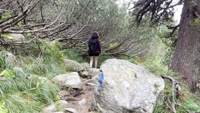 Traking shot of a woman on a trail in the  Retezat mountains, Romanian Carpathians.