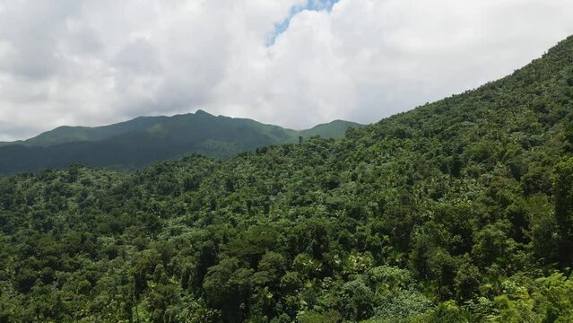 Above the Treetops of El Yunque National Forest, Puerto Rico