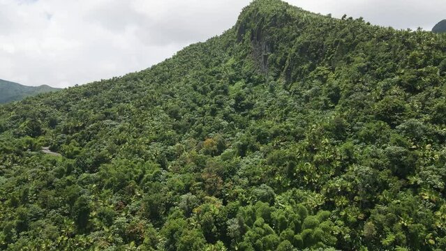 El Yunque&rsquo;s Vibrant Greenery Captured by Drone