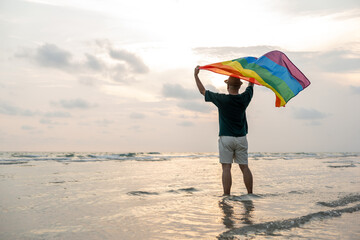 Young asian man with pride movement LGBT holding rainbow flag raise up for freedom. Demonstrate...