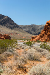 a beautiful road through the breathtaking landscape of the valley of fire state Park, Nevada