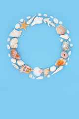 Sea shell abstract wreath on pastel blue background. Large collection of exotic and tropical...