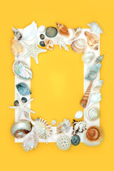 Exotic seashell background border with assorted shells on yellow background with white frame....