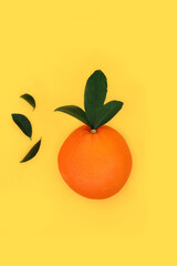 Orange citrus fruit for good health design on yellow background. Summer sunshine food high in bio...