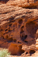 unique and colorful rock formations of the sandstone vegetation at valley of fire State Park, Nevada