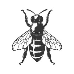 Vintage Honey bee monochrome sketch isolated on white. Hand drawn monochrome wasp illustration for logo, icon, label, packaging design. Engraving etching woodcut style