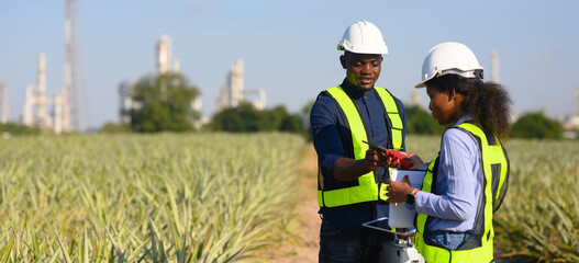 Engineer is using a mobile app to track the growth of pineapples on his farm.