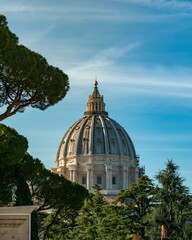 Fototapeta premium St. Peter's Basilica Dome Amidst Greenery