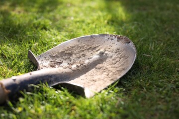 One dirty shovel on green grass outdoors, closeup