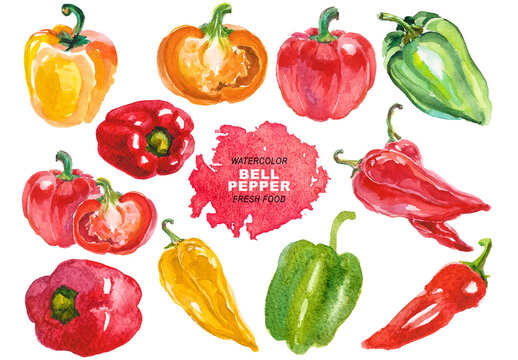 Watercolor painted bell pepper clipart. Hand drawn fresh food design elements isolated on transparent background.